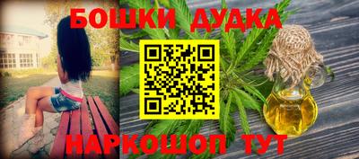 индика Гусиноозёрск