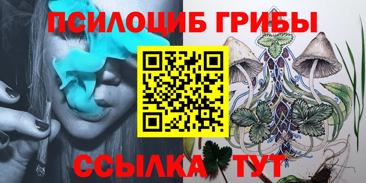 Новоалександровск  Галлюциногенные грибы Cubensis  Вход с VPN  Псилоцибиновые грибы Psilocybine cubensis 